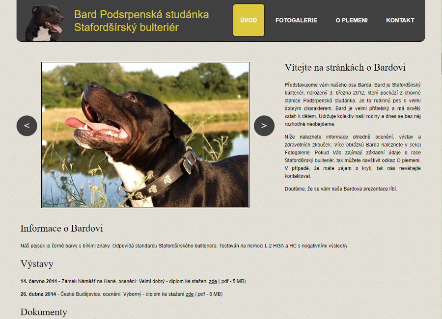 Bard - Staffordshire Bull Terrier